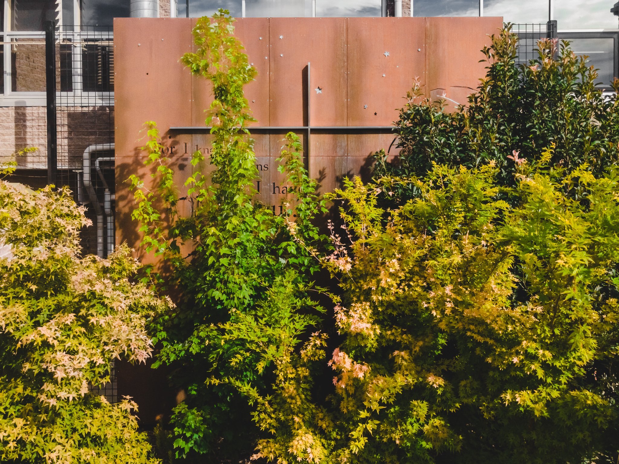 Caroline Chisholm Sports & Drama Precinct — view 10