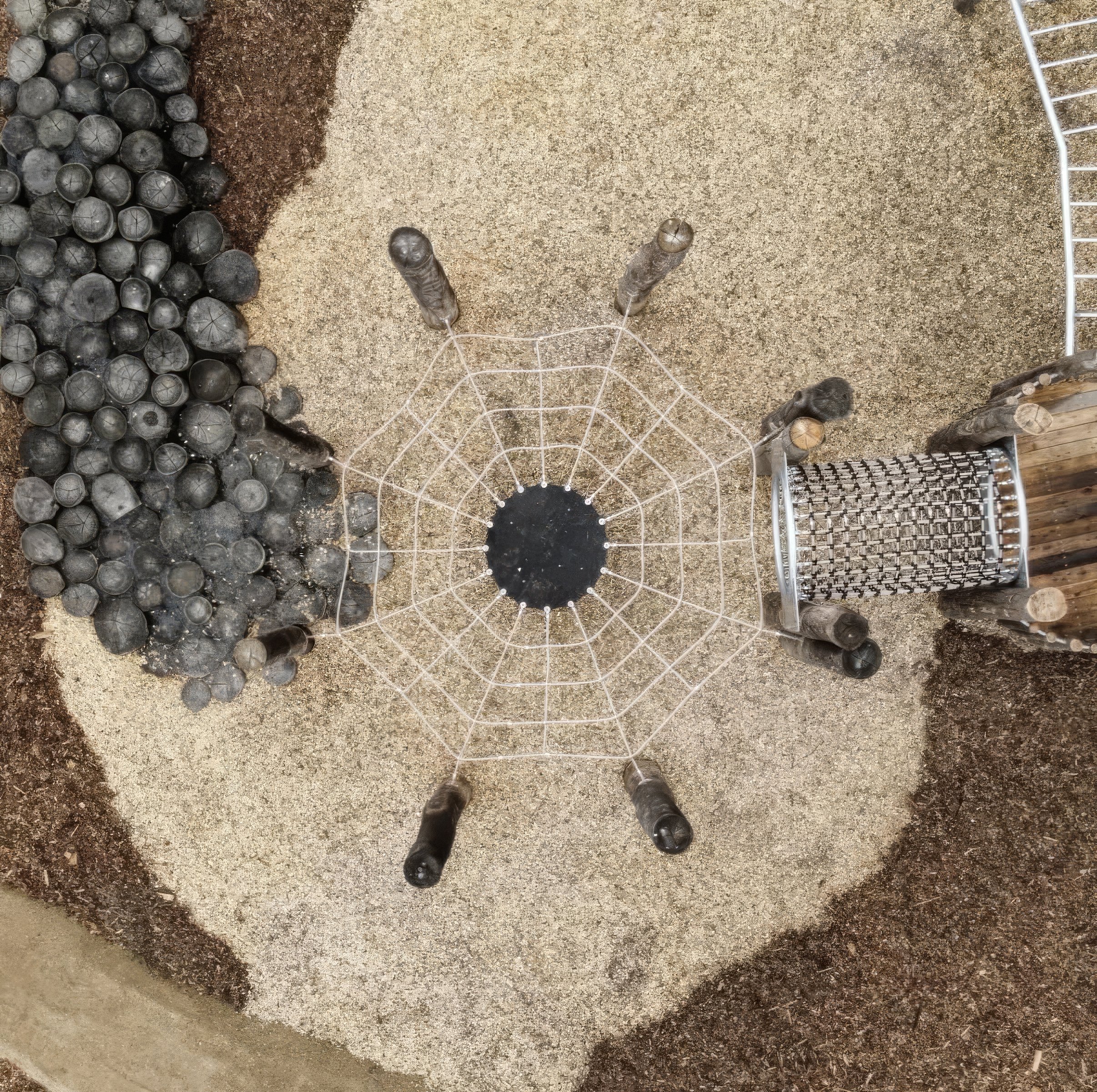 Newhaven College Junior Playspace — view 10