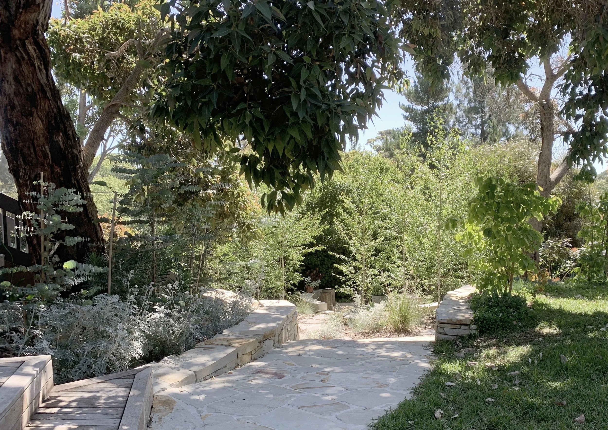 Mount Martha Garden, Mount Martha — by Orchard