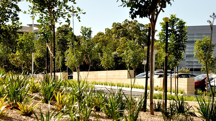 SCG Members Entrance — view 24