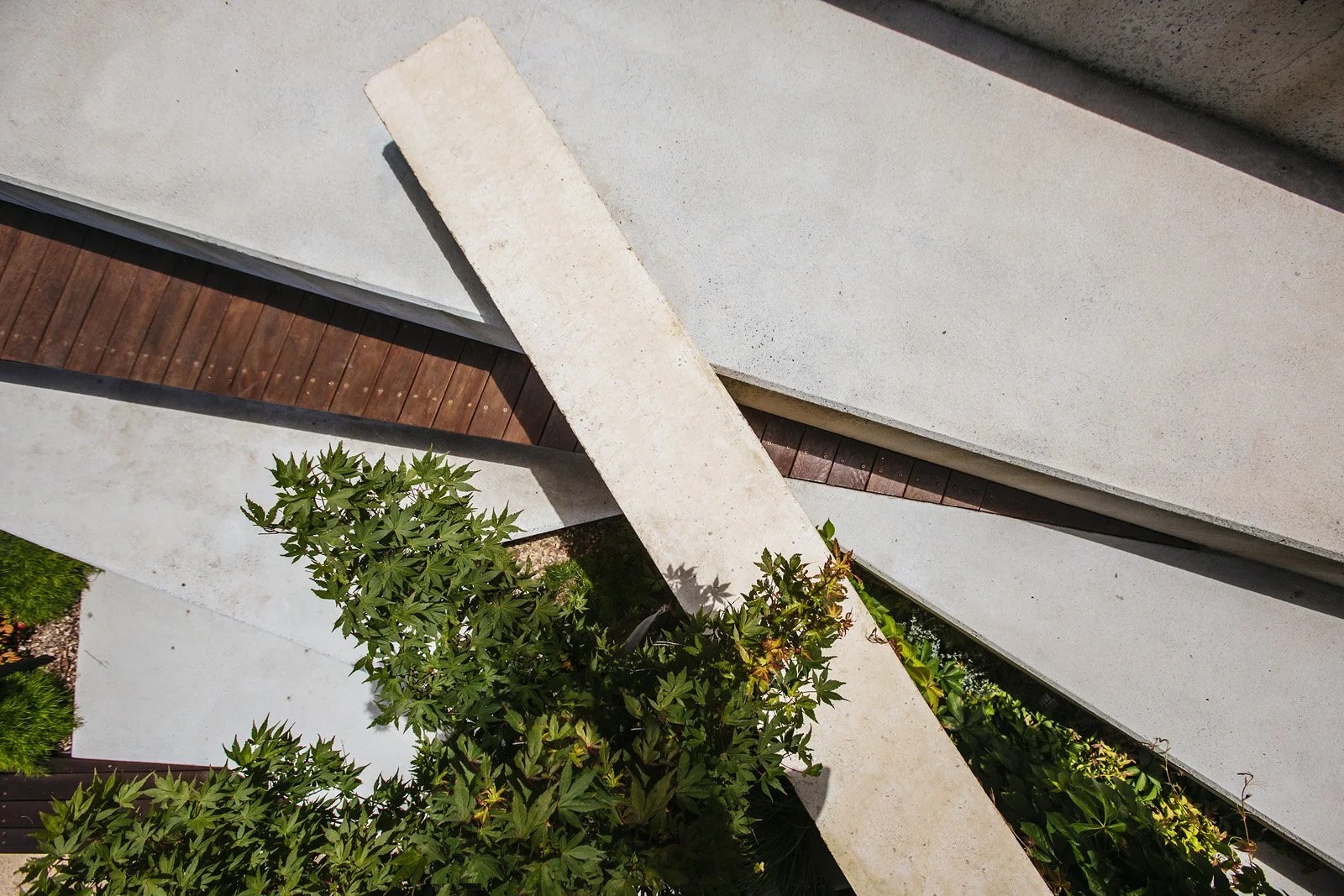 St Francis Xavier College Interface, Officer — by Orchard