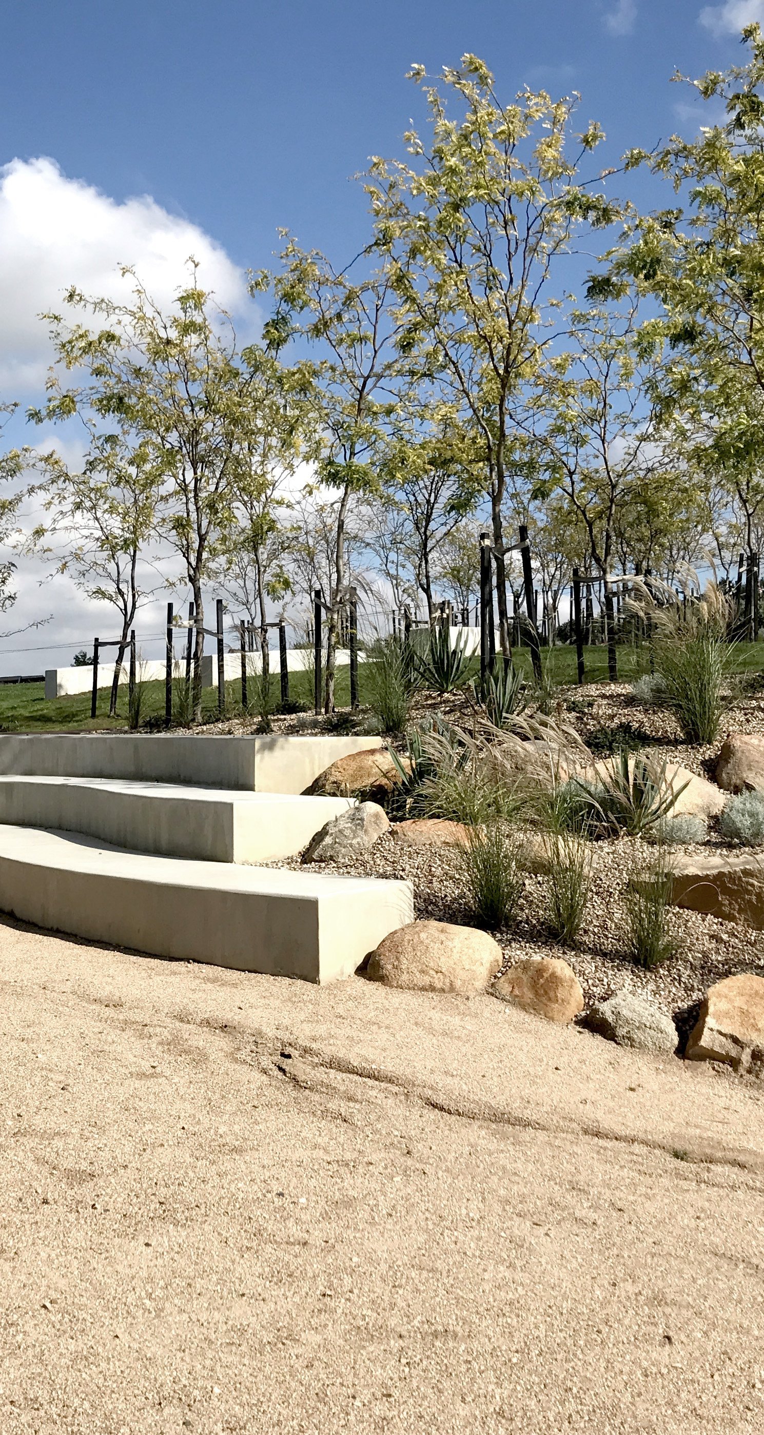 St Francis Xavier College Stage 3 Landscape — view 7