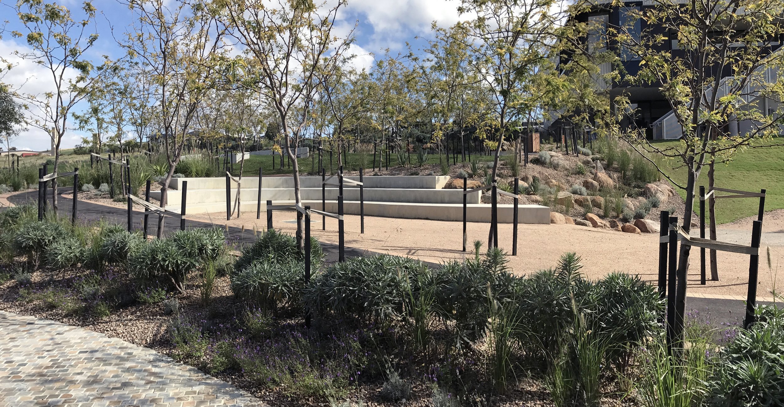 St Francis Xavier College Stage 3 Landscape — view 6