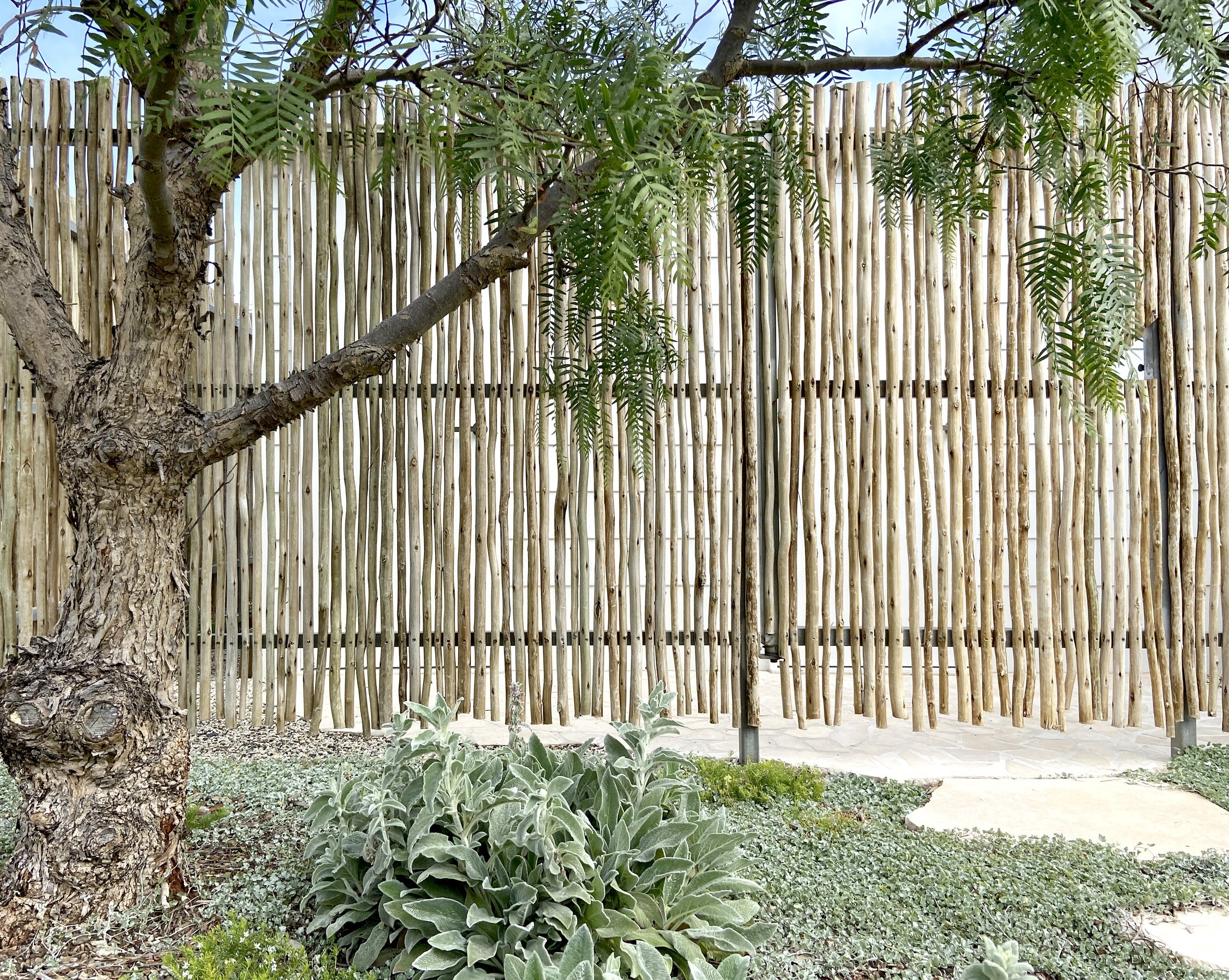 Ventnor Residence — view 10
