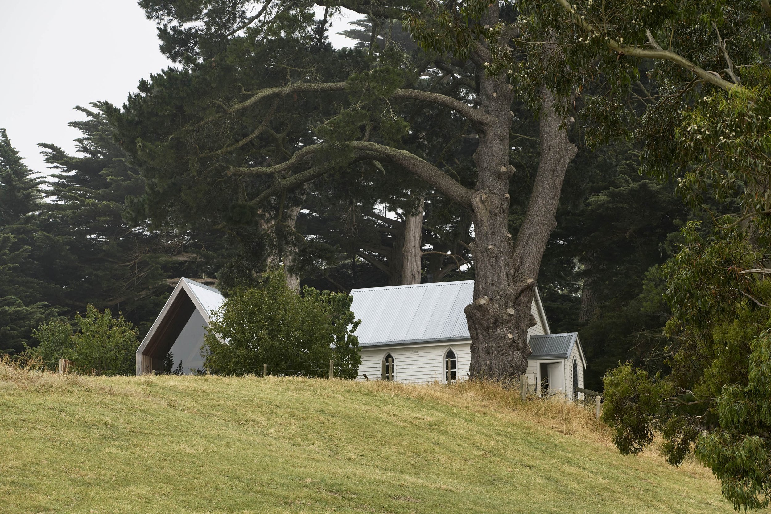 The Little Woods — view 19